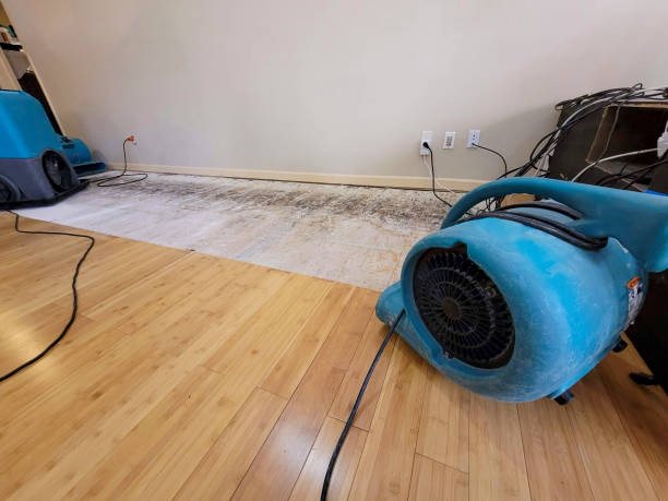 Professional Sewage Cleanup technician working in Climax, NC